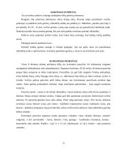 Pobūvių rūšys 13 puslapis