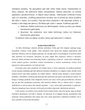 Pobūvių rūšys 15 puslapis