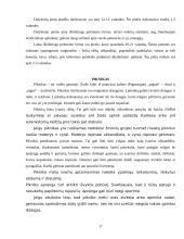 Pobūvių rūšys 17 puslapis