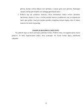 Pobūvių rūšys 19 puslapis