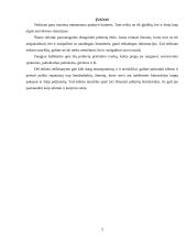 Pobūvių rūšys 3 puslapis