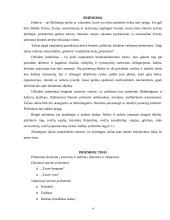 Pobūvių rūšys 4 puslapis