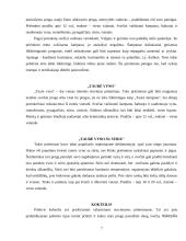 Pobūvių rūšys 7 puslapis