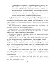 Pobūvių rūšys 9 puslapis