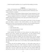 Pobūvių rūšys 10 puslapis