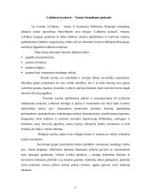 Verslo etikos samprata 15 puslapis