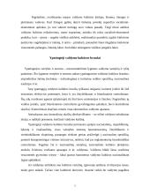 Verslo etikos samprata 3 puslapis