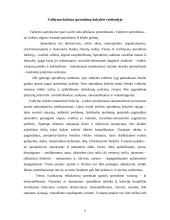 Verslo etikos samprata 6 puslapis