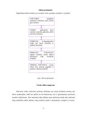 Verslo etikos samprata 10 puslapis