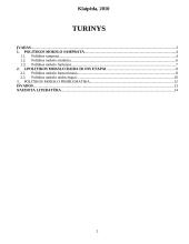 Politikos mokslo samprata, raida bei problematika 2 puslapis