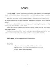 Politikos mokslo samprata, raida bei problematika 3 puslapis