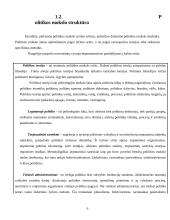 Politikos mokslo samprata, raida bei problematika 6 puslapis