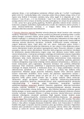 Žemės administravimas 8 puslapis