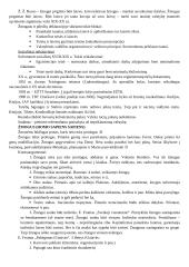 Žmogaus teisės ir pareigos 2 puslapis