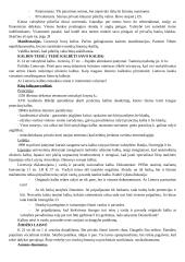 Žmogaus teisės ir pareigos 12 puslapis