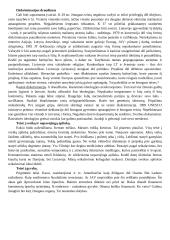 Žmogaus teisės ir pareigos 15 puslapis