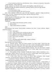 Žmogaus teisės ir pareigos 3 puslapis