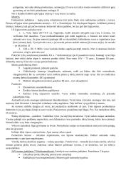 Žmogaus teisės ir pareigos 4 puslapis