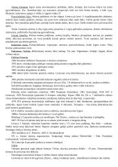 Žmogaus teisės ir pareigos 5 puslapis