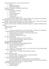 Žmogaus teisės ir pareigos 6 puslapis