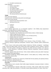 Žmogaus teisės ir pareigos 10 puslapis