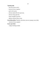 "Natura 2000" Lietuvoje 19 puslapis