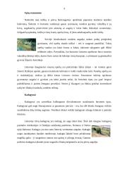 "Natura 2000" Lietuvoje 8 puslapis