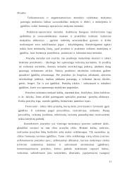 Pratimai ir grafiniai darbai kaip mokymo metodai 10 puslapis