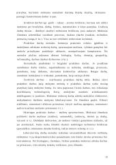 Pratimai ir grafiniai darbai kaip mokymo metodai 11 puslapis