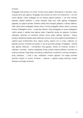 Pratimai ir grafiniai darbai kaip mokymo metodai 2 puslapis