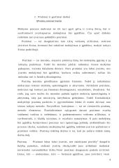 Pratimai ir grafiniai darbai kaip mokymo metodai 3 puslapis