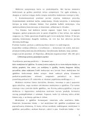 Pratimai ir grafiniai darbai kaip mokymo metodai 5 puslapis