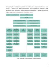 2001-2004 metų finansinės būklės analizė: AB bankas "Swedbank" (Hansabankas) 7 puslapis