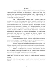 Prevencinė veikla: Mokyklos vaidmuo narkomanijos prevencijoje 3 puslapis