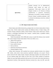 ABC (Activity-Based Costing) išlaidų apskaitos diegimo ypatumai 14 puslapis