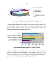 ABC (Activity-Based Costing) išlaidų apskaitos diegimo ypatumai 16 puslapis