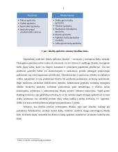 ABC (Activity-Based Costing) išlaidų apskaitos diegimo ypatumai 3 puslapis