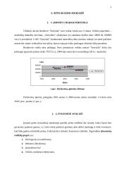 ABCM veikomis grįstos vadybos koncepcijos taikymas: UAB "Siuvykla" 3 puslapis