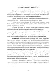 Ankstyvosios prevencijos programos rizikos grupių vaikams 11 puslapis