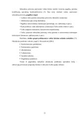 Ankstyvosios prevencijos programos rizikos grupių vaikams 13 puslapis