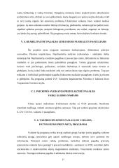 Ankstyvosios prevencijos programos rizikos grupių vaikams 17 puslapis