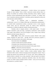 Ankstyvosios prevencijos programos rizikos grupių vaikams 3 puslapis