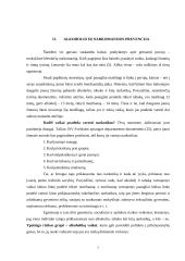 Ankstyvosios prevencijos programos rizikos grupių vaikams 7 puslapis