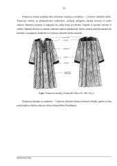 Prokuratūros samprata ir jos uždaviniai 12 puslapis