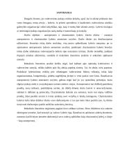 Anterpreneris ir charizmatinis lyderis