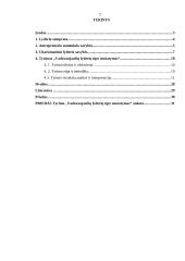 Anterpreneris ir charizmatinis lyderis 2 puslapis