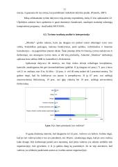 Anterpreneris ir charizmatinis lyderis 13 puslapis