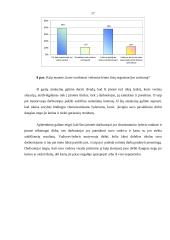 Anterpreneris ir charizmatinis lyderis 17 puslapis