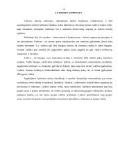 Anterpreneris ir charizmatinis lyderis 4 puslapis