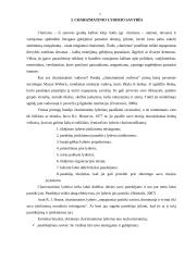 Anterpreneris ir charizmatinis lyderis 7 puslapis